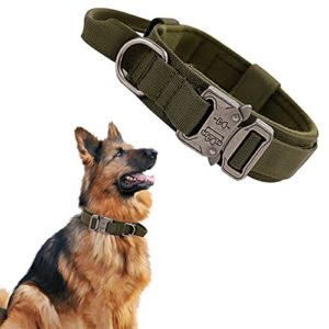 Encuentra El Mejor Precio Para Collar De Perro De El Area De Ferreteria