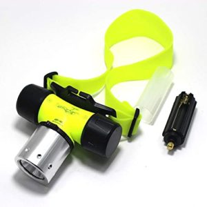 Comparativa De Lampara Para Buceo De Noche En Esta Area De Iluminacion