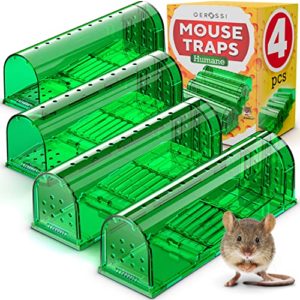 Review Para Trampa Para Ratones En Limpieza Y Hogar