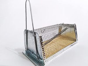Compara De Trampa Para Ratones De Madera Con El Area De Limpieza Y Hogar